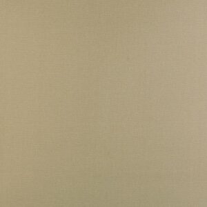 Proof Lite Beige