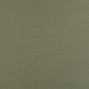 Proof Lite Nusa Peridot