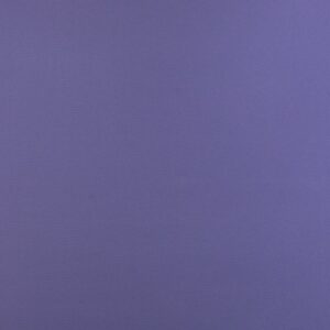 Proof Lite Viola